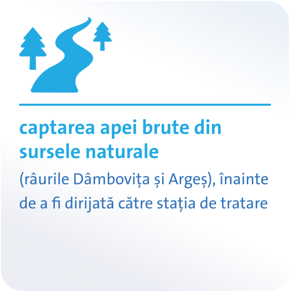 card 1
